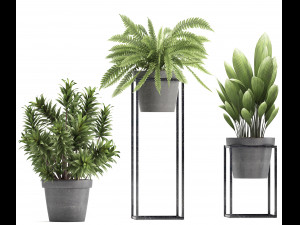 collection of exotic plants 3D 模型