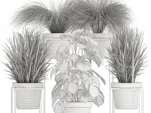 collection of exotic plants Modèle 3D