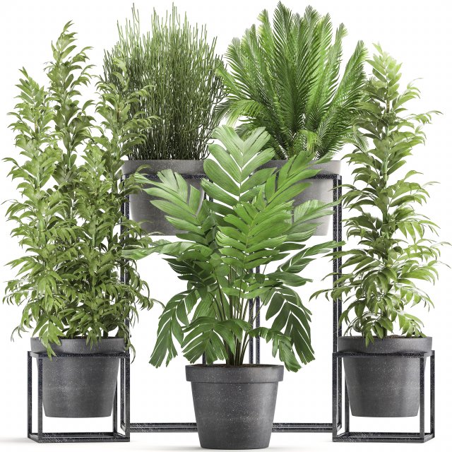 collection of exotic plants 3D Model .c4d .max .obj .3ds .fbx .stl .blend 