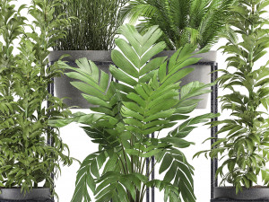 collection of exotic plants 3D Model