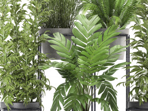 collection of exotic plants 3D Model