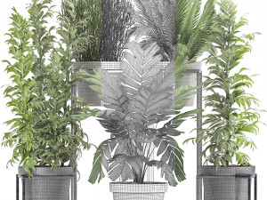 collection of exotic plants 3D Model