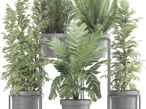 collection of exotic plants 3D Model