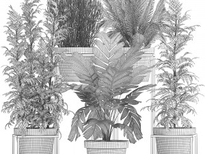collection of exotic plants 3D Model