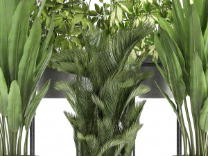 collection of exotic plants 3D Model