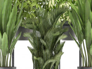 collection of exotic plants 3D Model