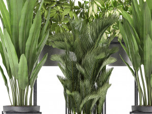 collection of exotic plants 3D 모델