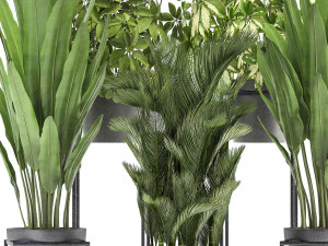 collection of exotic plants 3D Model