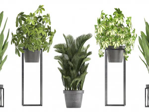 collection of exotic plants 3D Model