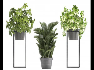 collection of exotic plants 3D Model