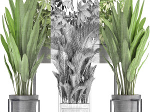 collection of exotic plants 3D 모델