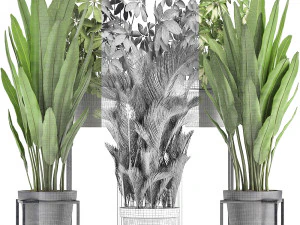 collection of exotic plants 3D Model