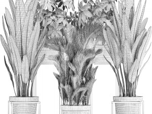 collection of exotic plants 3D 모델