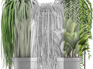 collection of exotic plants Model 3D