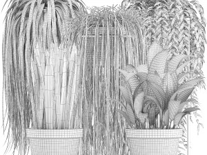 collection of exotic plants Model 3D