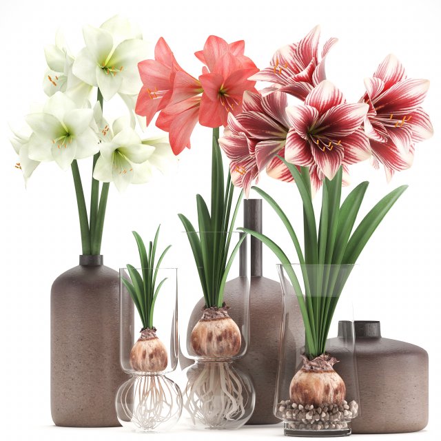 hippeastrum in a flower pot 5 3Dモデル .c4d .max .obj .3ds .fbx .stl .blend 