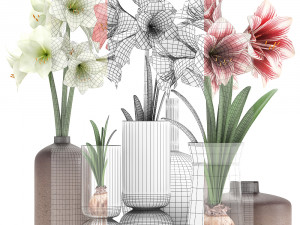 hippeastrum in a flower pot 5 3Dモデル