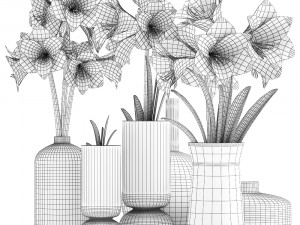 hippeastrum in a flower pot 5 3Dモデル