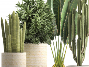 collection of exotic plants Modelo 3D
