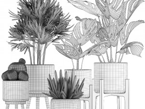 collection of exotic plants Model 3D