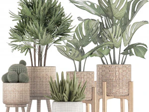 collection of exotic plants 3D Model