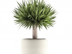 collection of exotic plants Modelo 3D