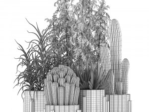 collection of exotic cactus plants 8 3D Model