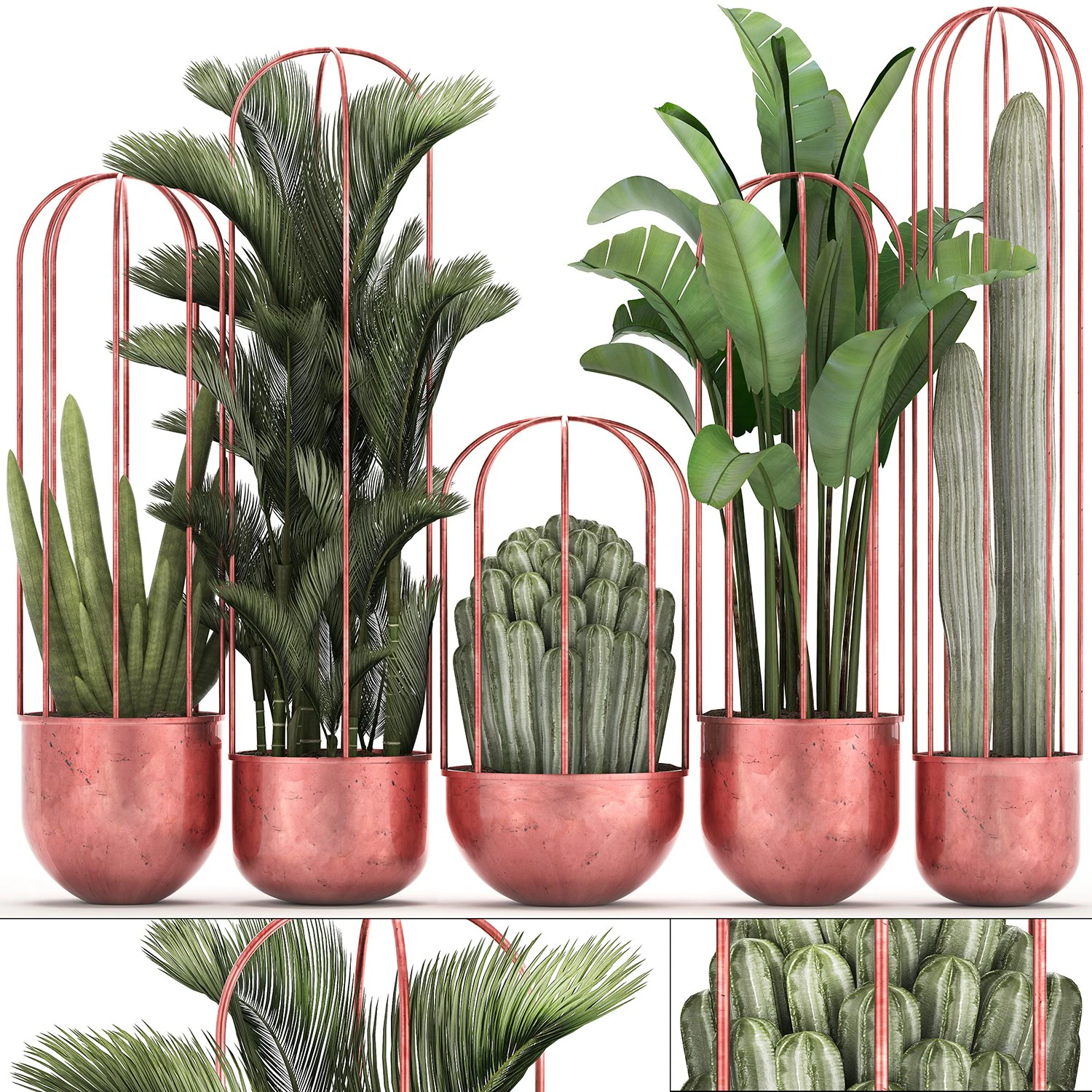 collection of exotic plants 45 3D Model .c4d .max .obj .3ds .fbx .stl .blend 
