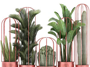 collection of exotic plants 45 3D Model