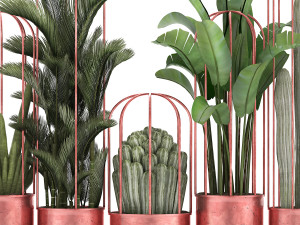 collection of exotic plants 45 Modèle 3D