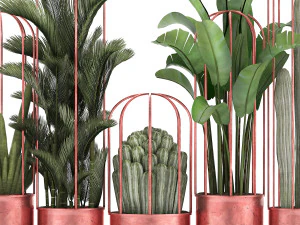 collection of exotic plants 45 3D Model