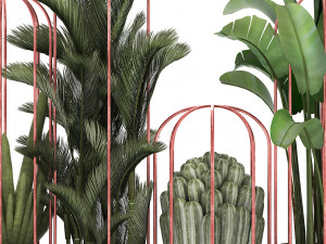 collection of exotic plants 45 Modèle 3D