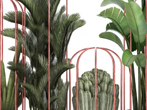 collection of exotic plants 45 3D Model