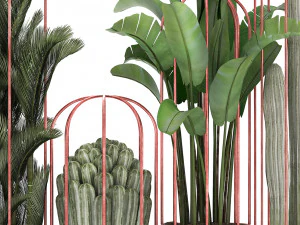 collection of exotic plants 45 3D Model