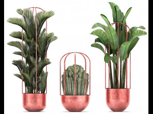collection of exotic plants 45 3D Model