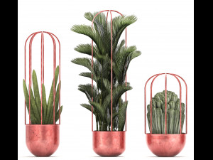 collection of exotic plants 45 Modèle 3D