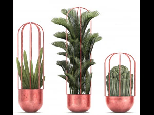 collection of exotic plants 45 3D Model