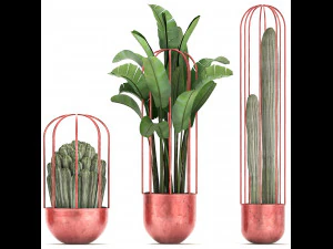 collection of exotic plants 45 3D Model