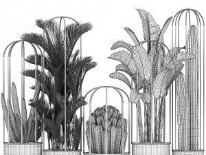 collection of exotic plants 45 3D Model