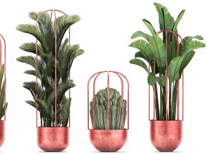 collection of exotic plants 45 3D Model