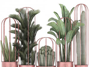 collection of exotic plants 45 3D Model