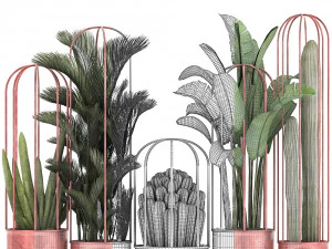 collection of exotic plants 45 3D Model
