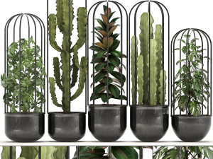 collection of exotic plants 3D Model