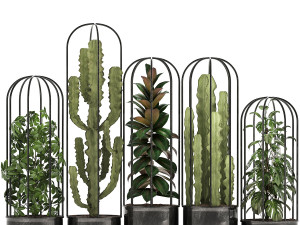 collection of exotic plants Model 3D