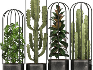 collection of exotic plants Model 3D