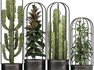 collection of exotic plants Model 3D
