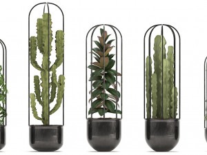 collection of exotic plants Model 3D