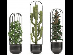 collection of exotic plants Model 3D