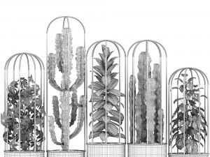 collection of exotic plants Model 3D