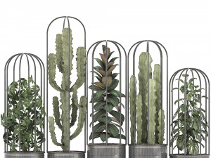 collection of exotic plants Model 3D
